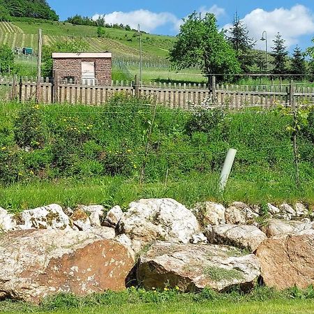 Hüttenflair-Mosel Ferienwohnung Enkirch Exterior foto