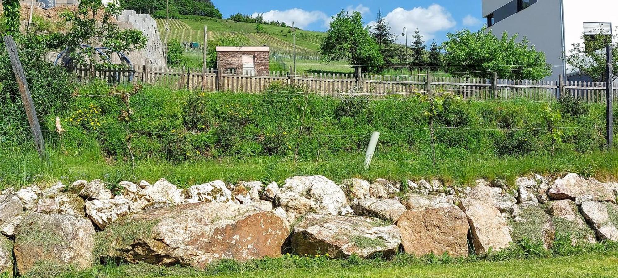 Hüttenflair-Mosel Ferienwohnung Enkirch Exterior foto