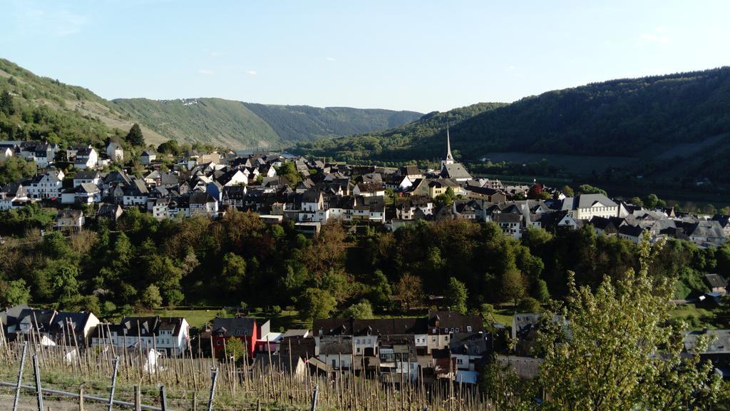 Hüttenflair-Mosel Ferienwohnung Enkirch Exterior foto